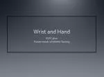 Wrist and Hand - slide 1