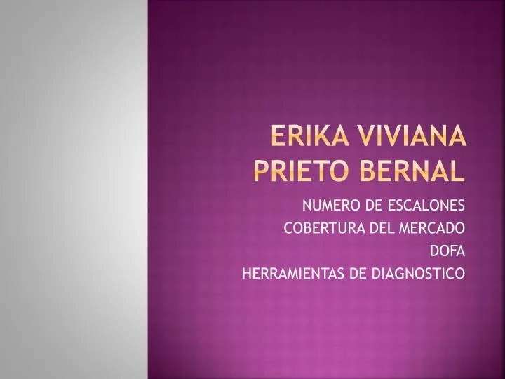 erika viviana prieto bernal