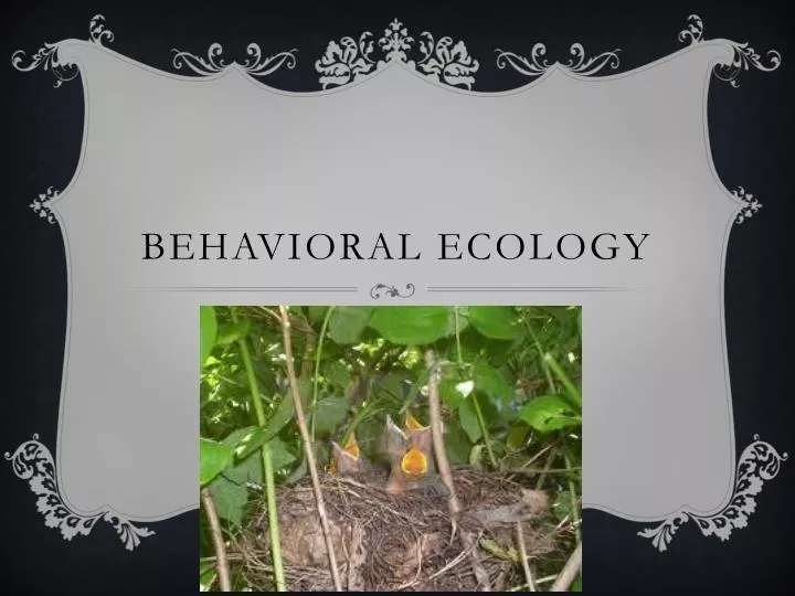 behavioral ecology