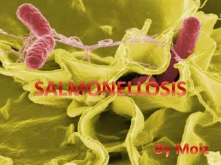 SALMONELLOSIS