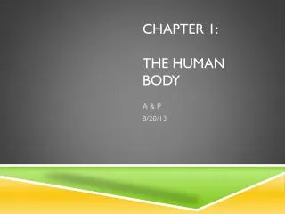 Chapter 1: the Human Body