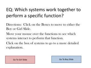 EQ: Which systems work together to perform a specific function?