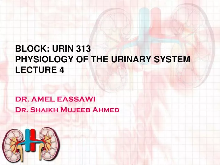 block urin 313 physiology of the urinary system lecture 4