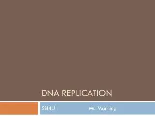 Dna replication