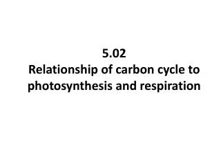 5.02 Relationship of carbon cycle to photosynthesis and respiration