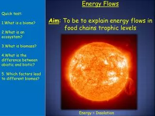 Energy Flows Aim : To be to explain energy flows in food chains trophic levels