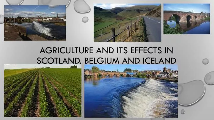 agriculture and its effects in scotland belgium and iceland