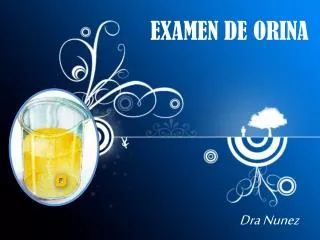 examen de orina