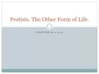 Protists. The Other Form of Life.