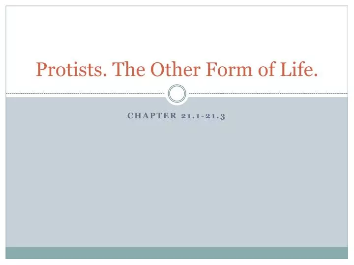protists the other form of life