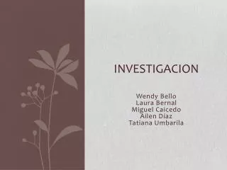 investigacion