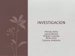 INVESTIGACION - slide 1