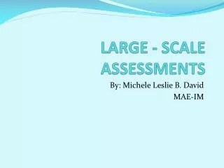 LARGE - SCALE ASSESSMENTS