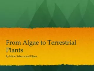 From Algae to Terrestrial Plants