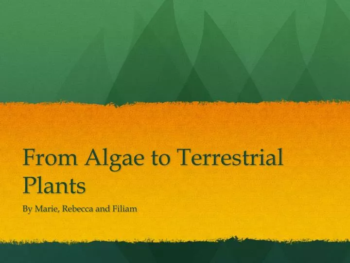 from algae to terrestrial plants