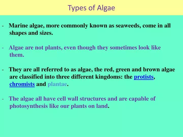 types of algae