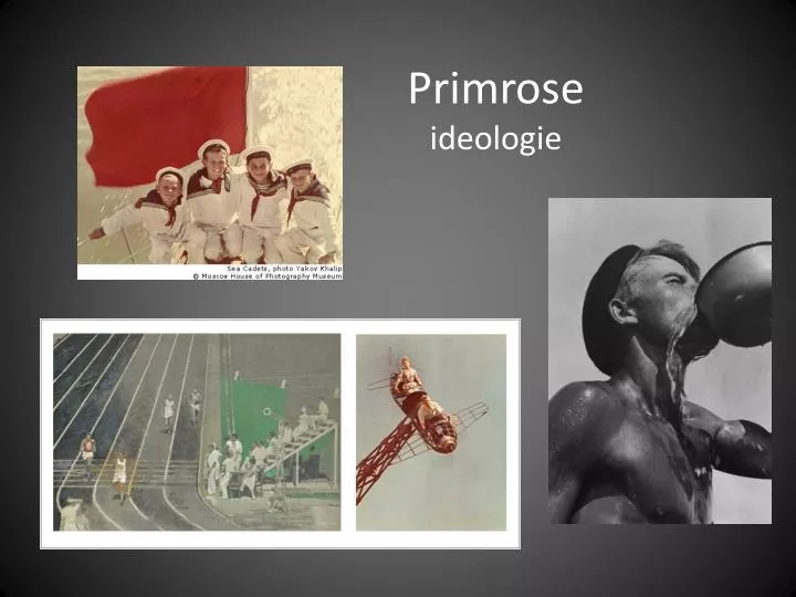 primrose ideologie