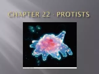 Chapter 22 - Protists