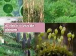 4. Het rijk van de planten - slide 1