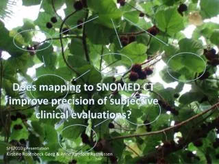 Does mapping to SNOMED CT improve precision of subjective clinical evaluations ?