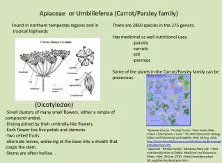Apiaceae or Umbilleferea ( C arrot/Parsley f amily)