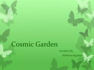 Cosmic Garden