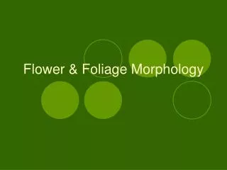 Flower &amp; Foliage Morphology
