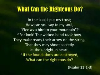 What Can the Righteous Do?