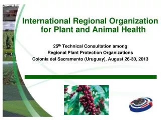 International Regional Organization for Plant and Animal Health