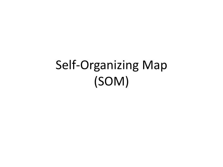 self organizing map som