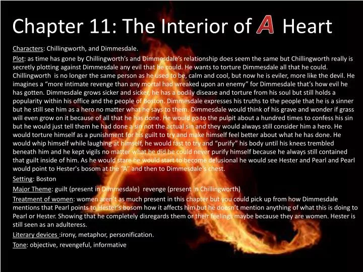 chapter 11 th e interior of heart