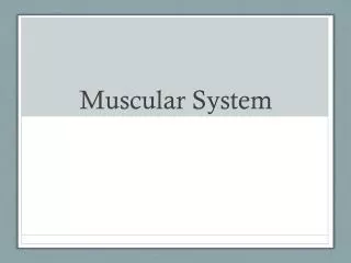 Muscular System