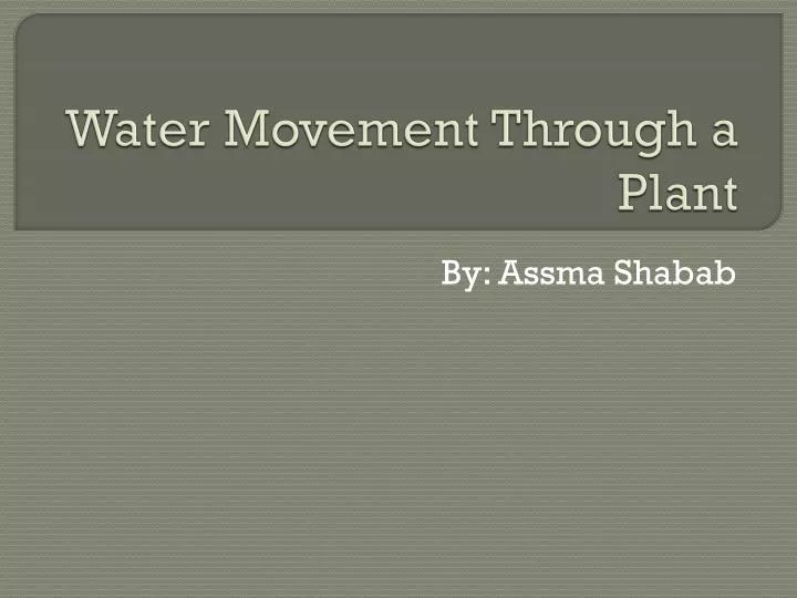 water movement through a plant