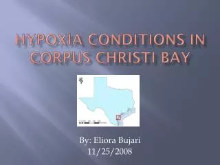 Hypoxia Conditions in Corpus Christi Bay
