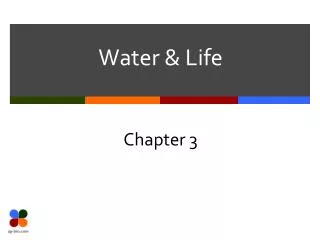 Water &amp; Life