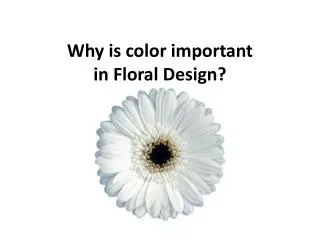 Why is color important in Floral Design?
