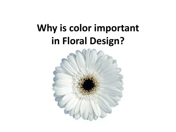 why is color important in floral design