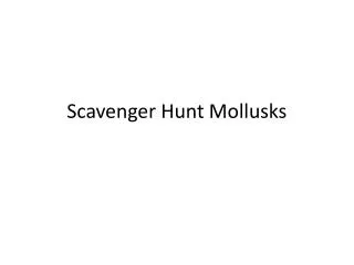 Scavenger Hunt Mollusks