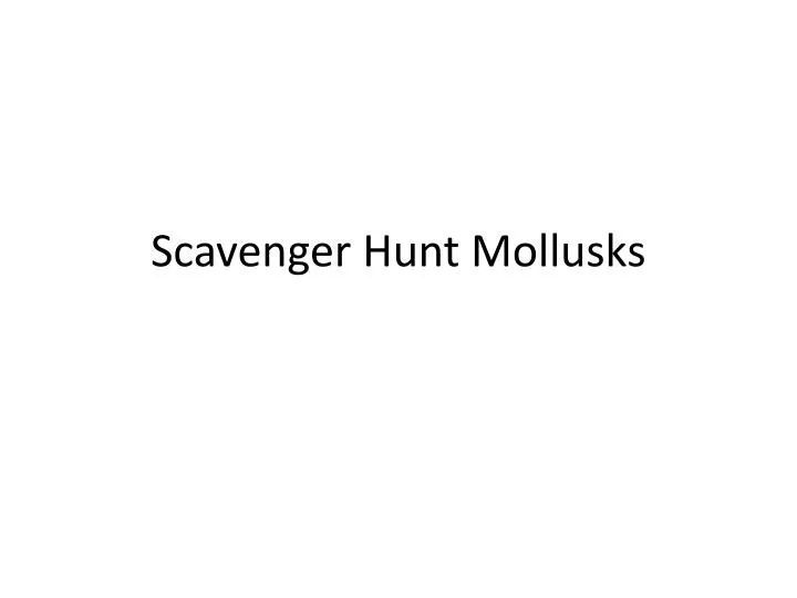 scavenger hunt mollusks