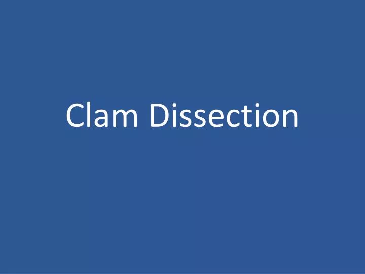 clam dissection