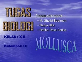 Nama kelompok : M. Sholid Budiman Nadia Ulfa Rafika Dewi Astika