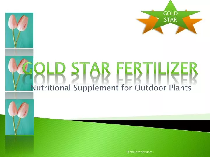 nutritional supplement for outdoor plants