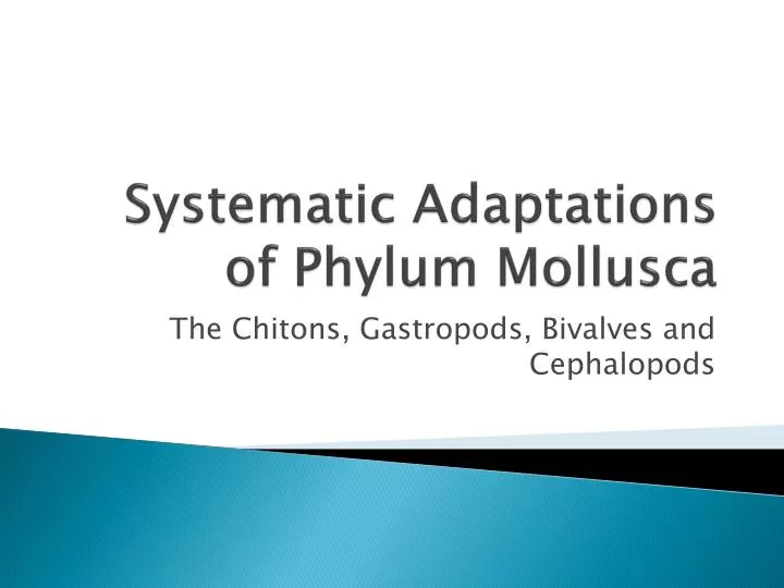 systematic adaptations of phylum mollusca