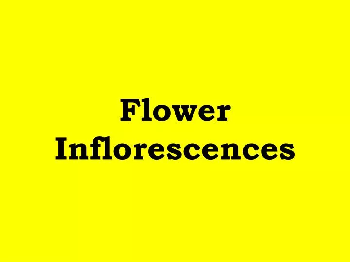 flower inflorescences