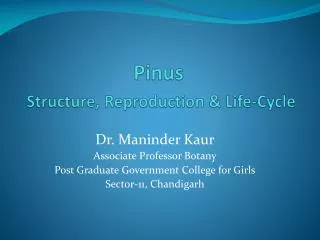 Pinus Structure, Reproduction &amp; Life-Cycle