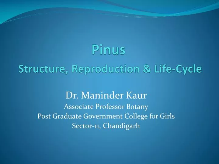 pinus structure reproduction life cycle