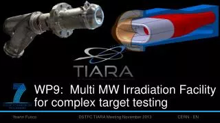 WP9: Multi MW Irradiation Facility for complex target testing