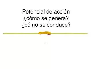 potencial de acci n c mo se genera c mo se conduce
