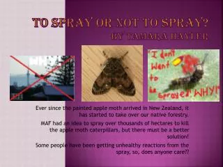 To spray or not to spray? By Tamara Hayler