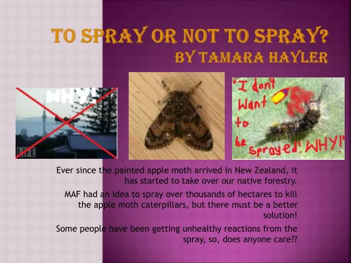 to spray or not to spray by tamara hayler